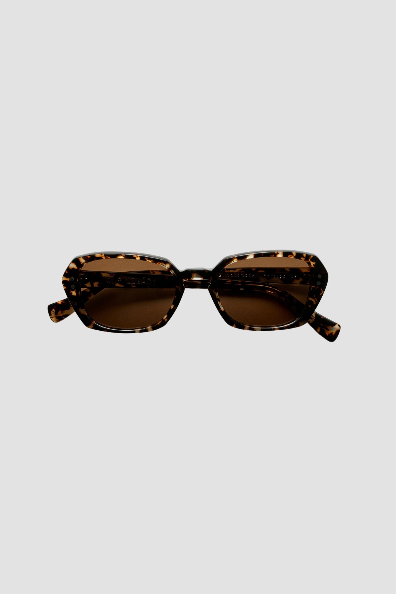 EARTH, Glass Tortoise