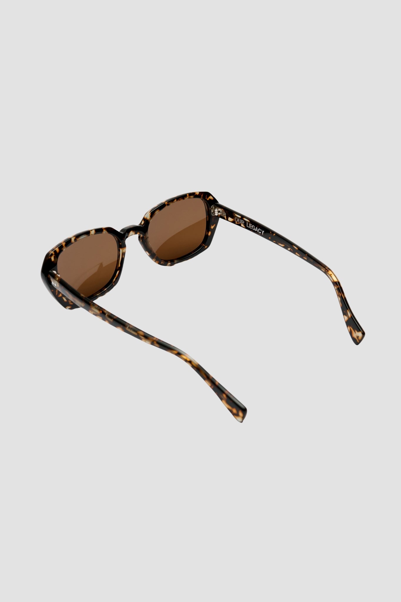 EARTH, Glass Tortoise