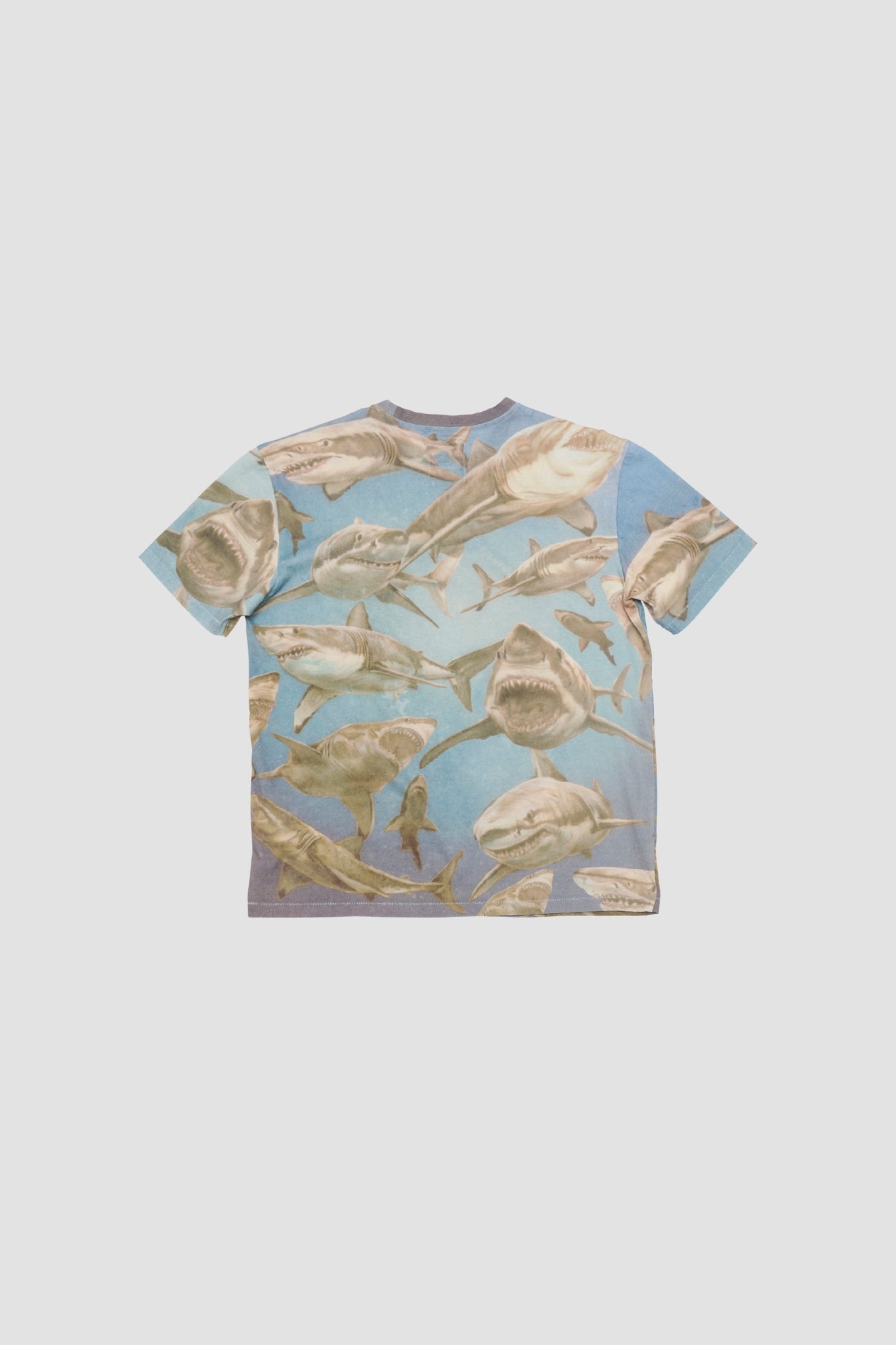 FRANZ TEE Shark Print