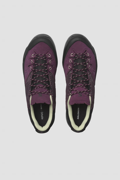 X-ALP LTR Winter Bloom / Plum Perfect
