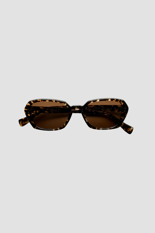 EARTH, Glass Tortoise