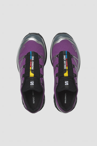 XT-6 GTX Concord Grape / Stormy Weather