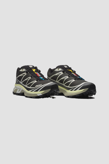 XT-6 peat/ icicle/ lime cream