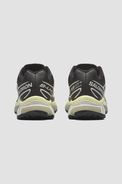 XT-6 peat/ icicle/ lime cream