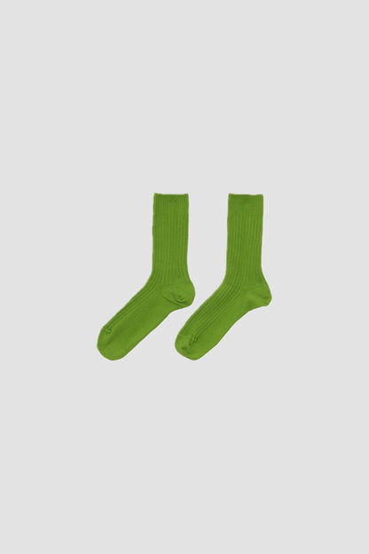 RIB OVERANKLE SOCKS SPIRAL Green