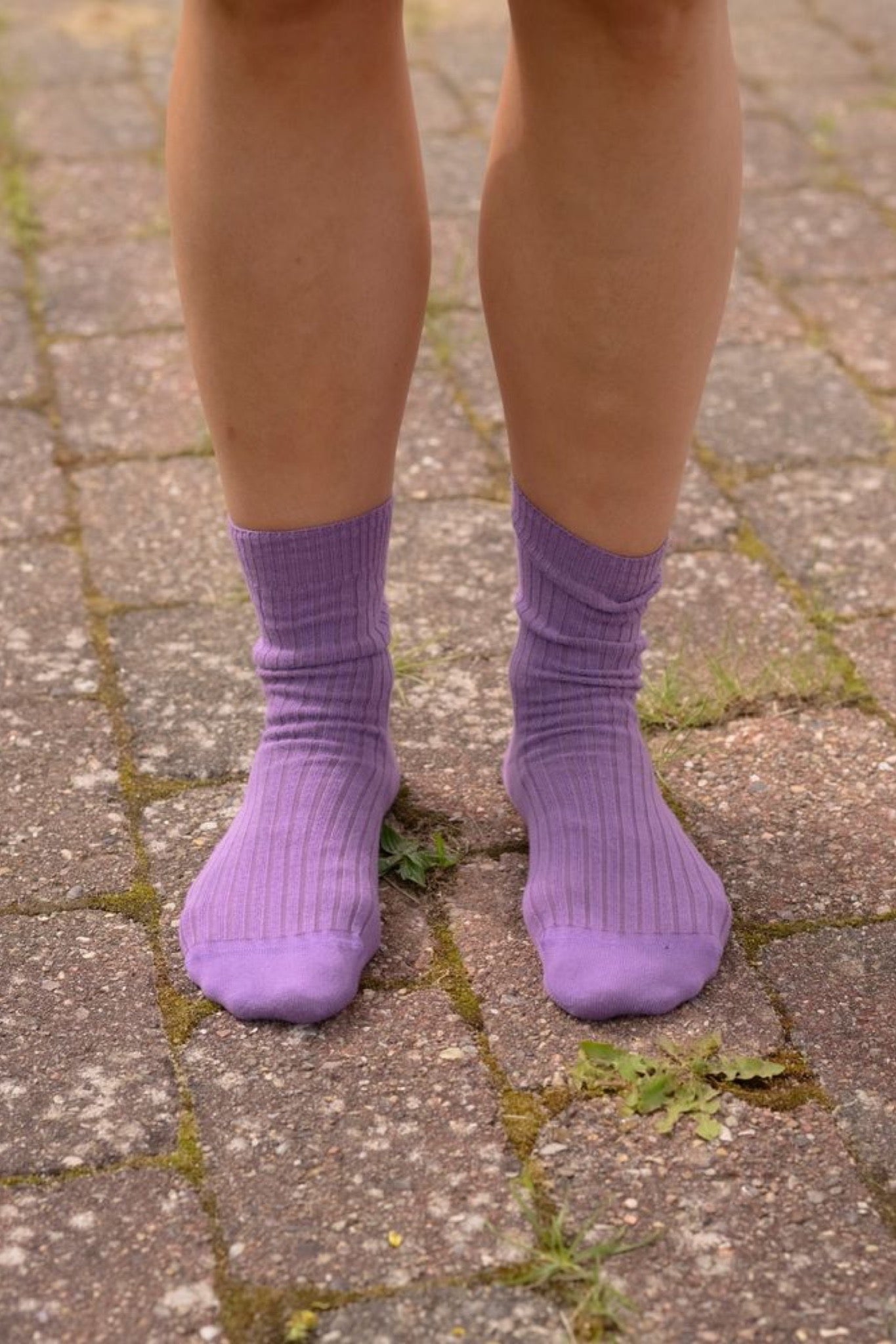 RIB OVERANKLE SOCKS Poa Purple